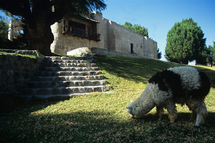 Molino de Sabandia