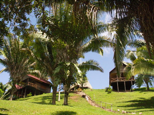 Tarapoto Ciudad de Palmeras